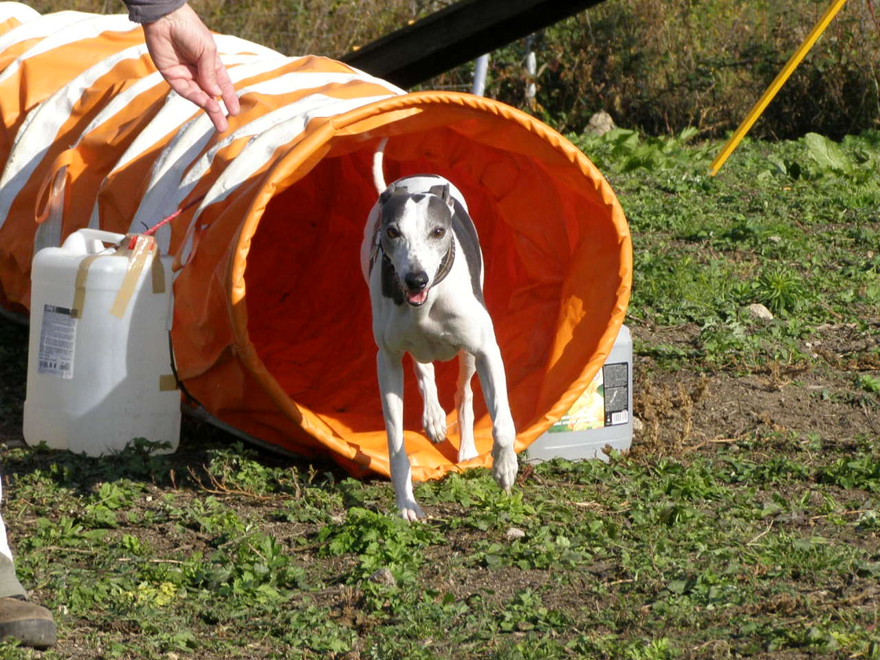 Tunel