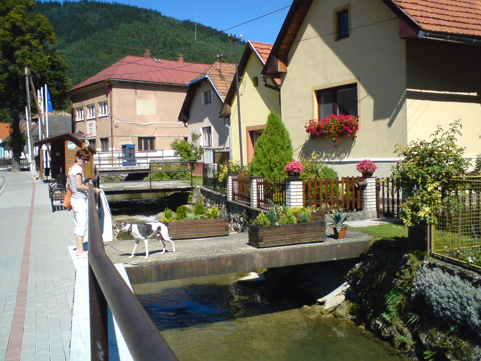 Lúčky 2011/2