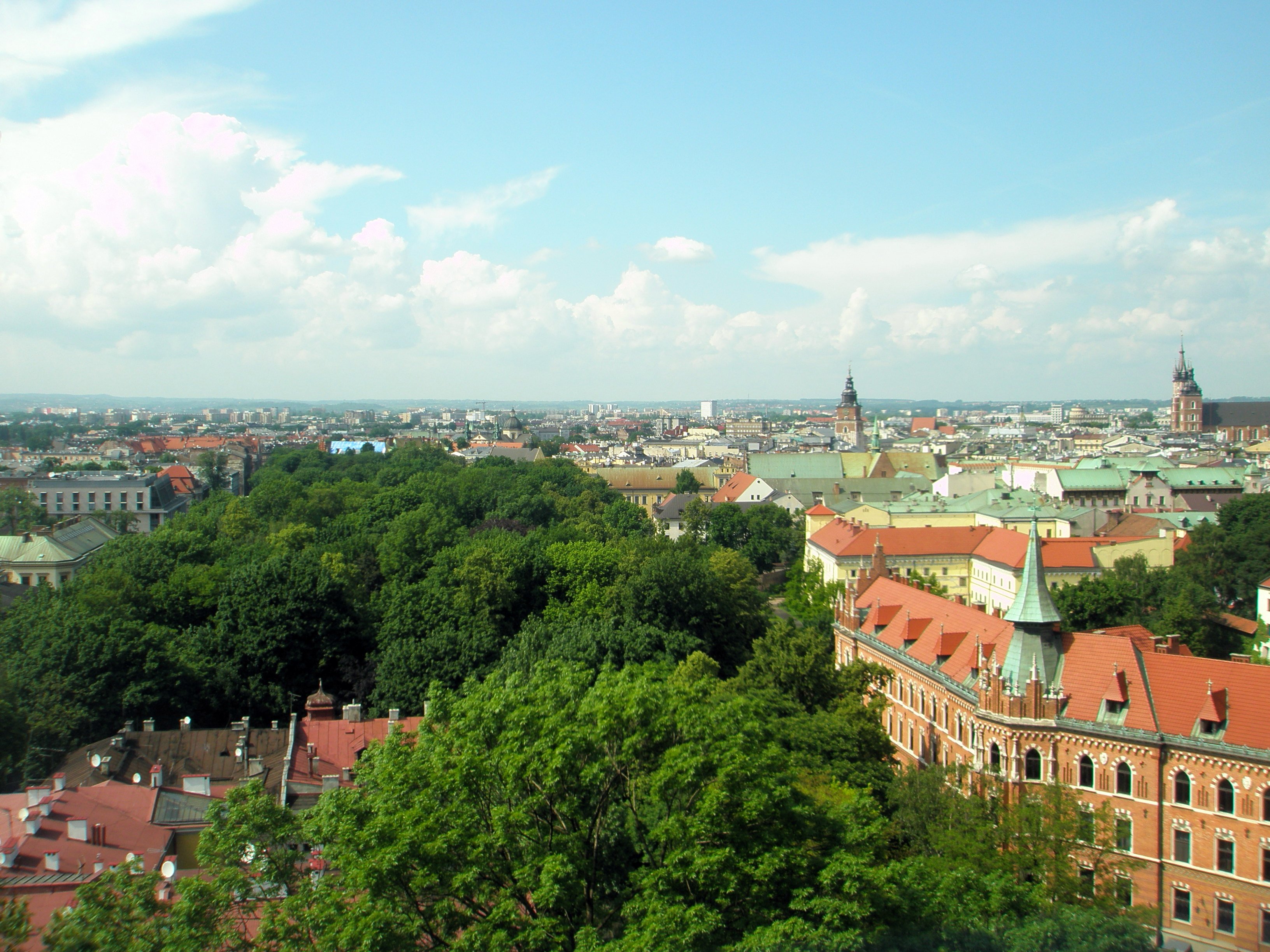 08-P6080065