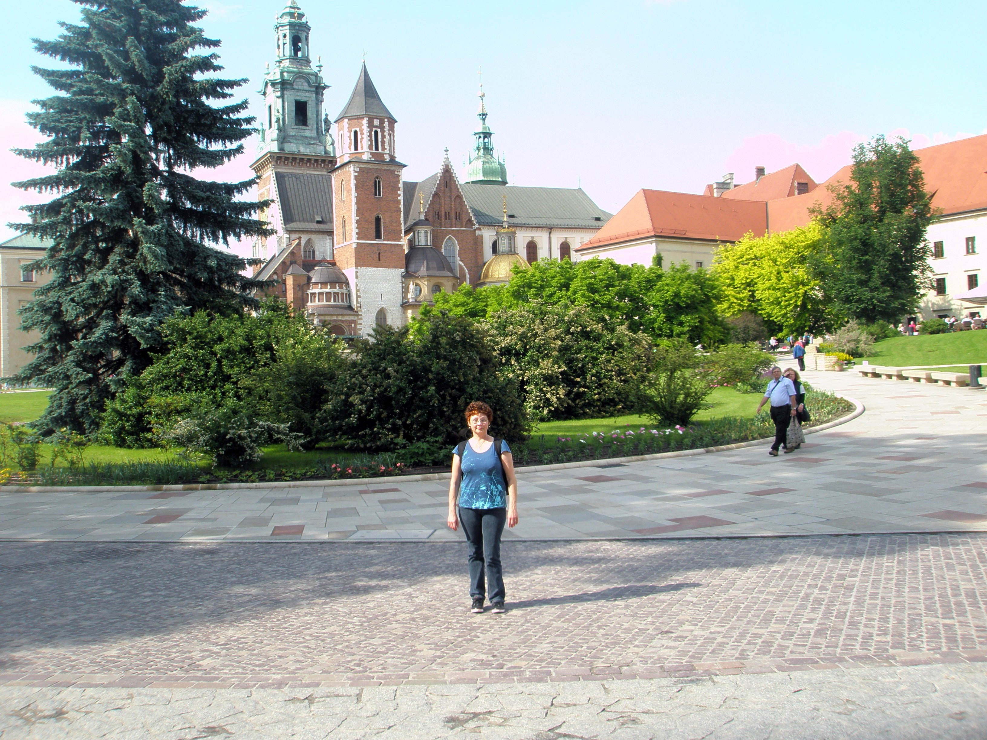 11-P6080080