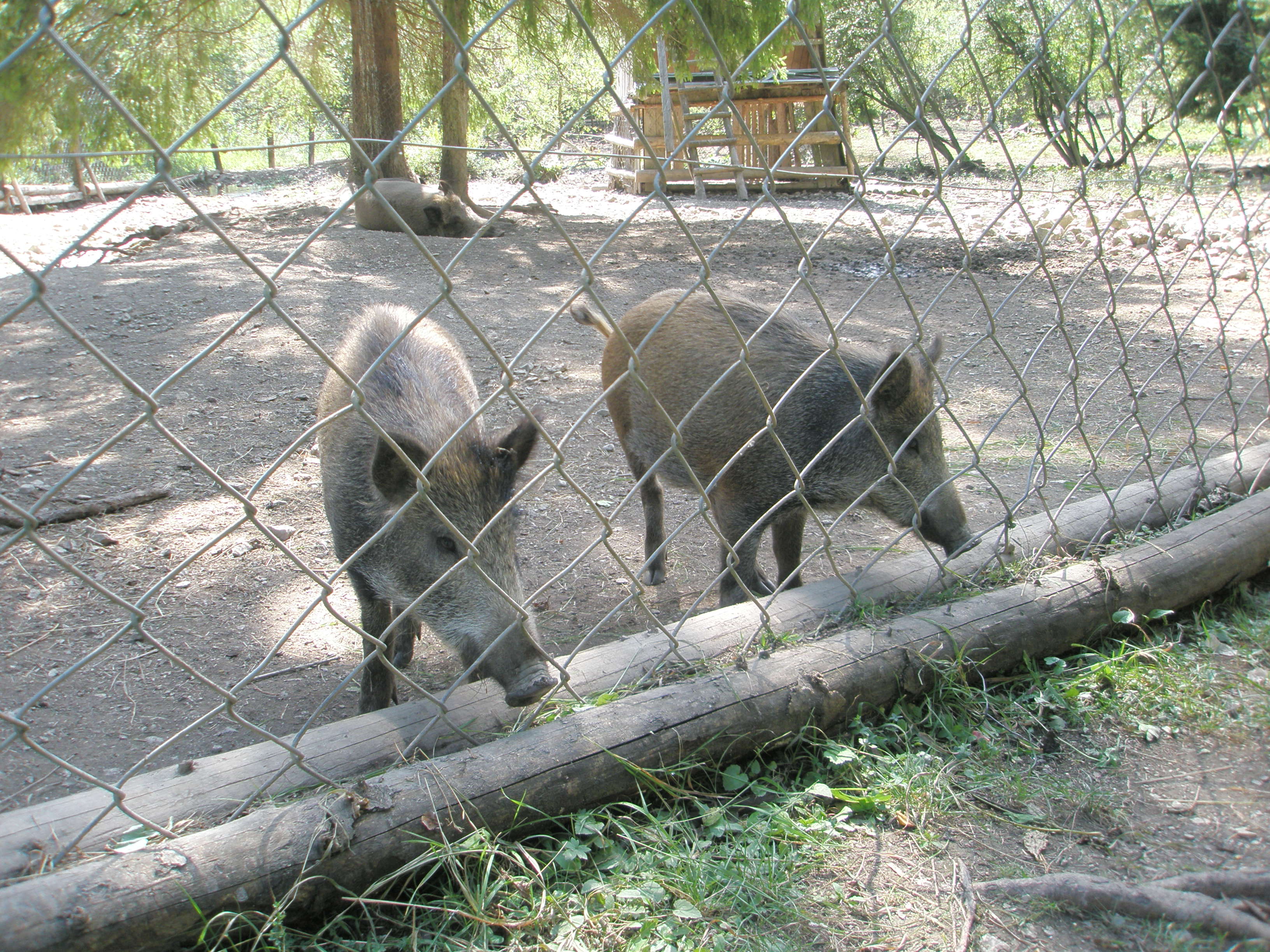 Lúčky 2008 068.jpg