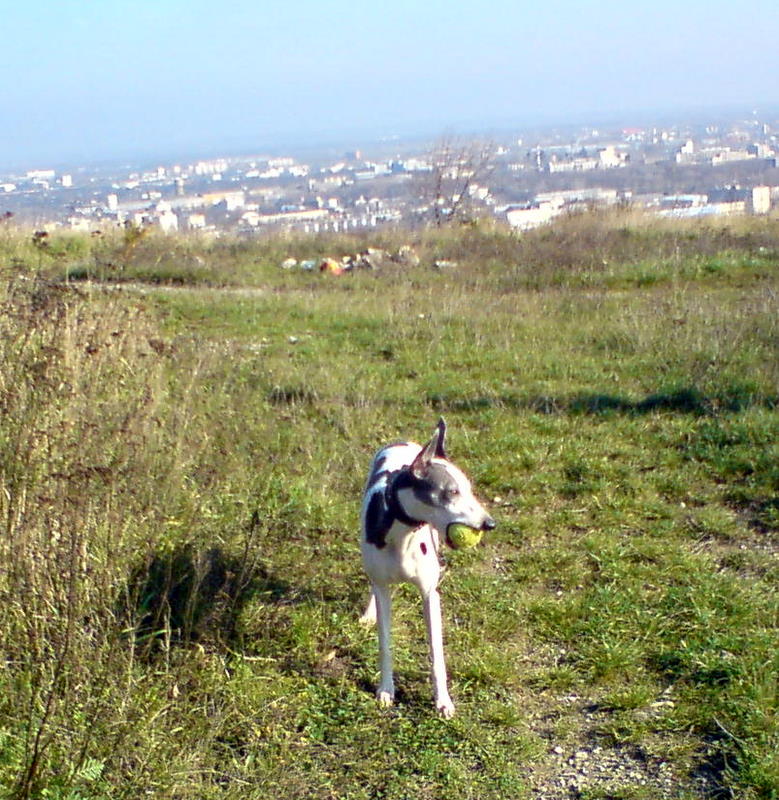 Vinohrady 013.jpg