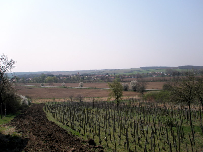 Výhľad